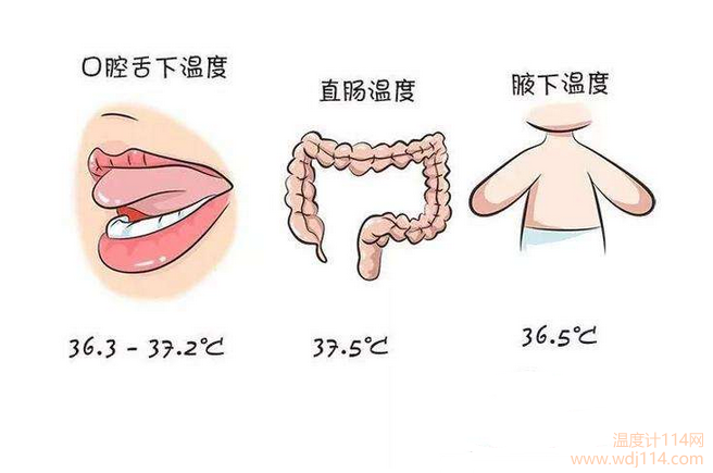 紅外線溫度計(jì)測(cè)哪較準(zhǔn)?